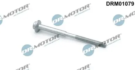 Болт з фігурною головкою DR. MOTOR DRM01079