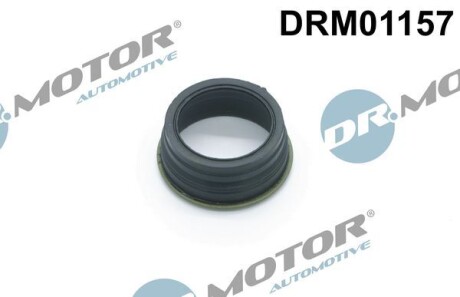 Кільце гумове DR. MOTOR DRM01157