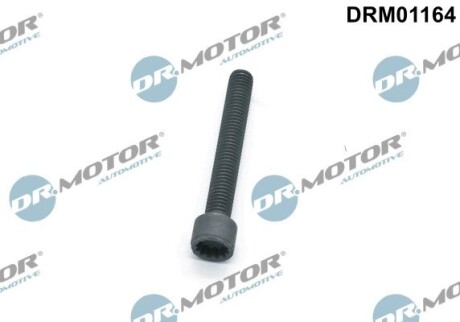 Болт з фігурною головкою DR. MOTOR DRM01164