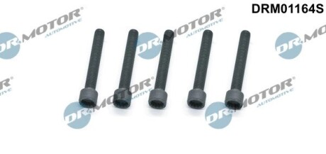 Комплект болтів з головкою системи TORX з чорного металу DR. MOTOR DRM01164S