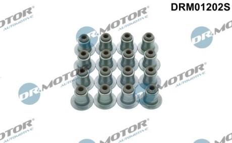 Комплект прокладок гумових DR. MOTOR DRM01202S (фото 1)