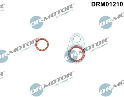 Кільце гумове DR. MOTOR DRM01210