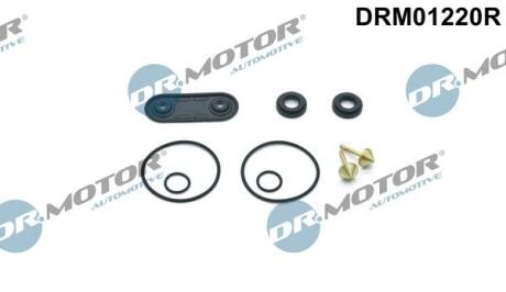 Комплект прокладок з різних матеріалів DR. MOTOR DRM01220R