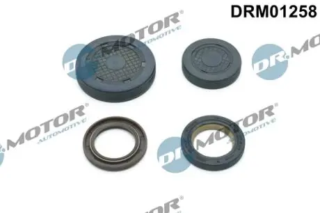 Комплект сальників гумових DR. MOTOR DRM01258
