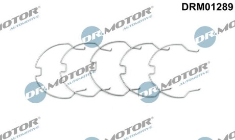 Комплект хомутів металевих DR. MOTOR DRM01289