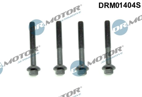 Комплект болтів двигуна з шестигранною головкою DR. MOTOR DRM01404S