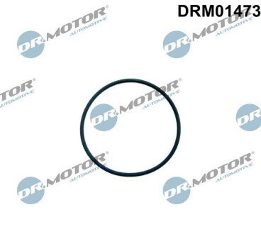 Кільце гумове DR. MOTOR DRM01473