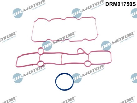 Комплект прокладок гумових DR. MOTOR DRM01750S