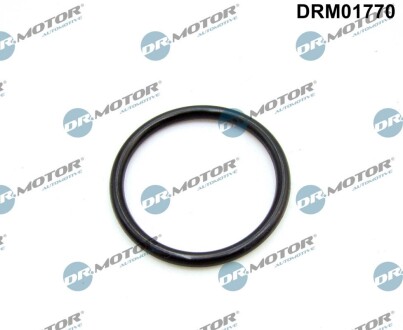 Кільце гумове DR. MOTOR DRM01770