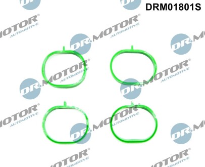 Комплект прокладок гумових DR. MOTOR DRM01801S