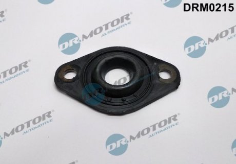 Кільце гумове DR. MOTOR DRM0215