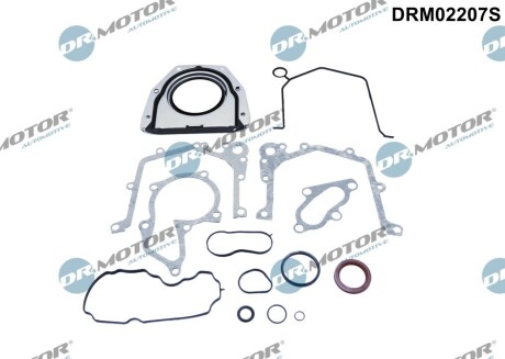 Комплект прокладок з різних матеріалів DR. MOTOR DRM02207S