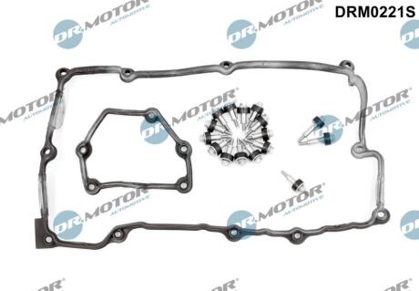 Комплект прокладок з різних матеріалів DR. MOTOR DRM0221S