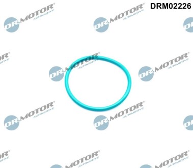 Кільце гумове DR. MOTOR DRM02226