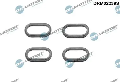 Комплект прокладок гумових DR. MOTOR DRM02239S