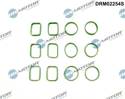 Комплект прокладок гумових DR. MOTOR DRM02254S