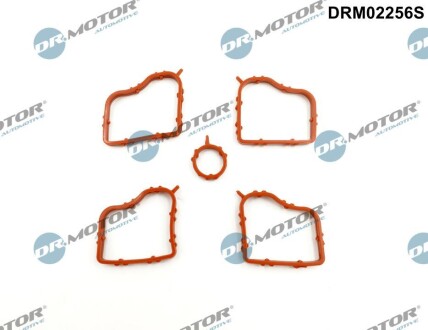 Комплект прокладок гумових DR. MOTOR DRM02256S