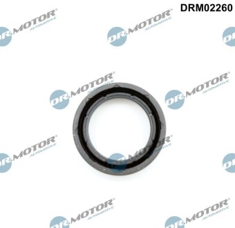 Кільце гумове DR. MOTOR DRM02260