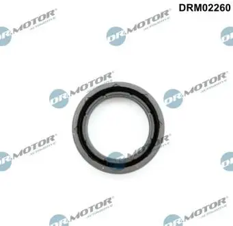 Кольцо резиновое DR. MOTOR DRM02260