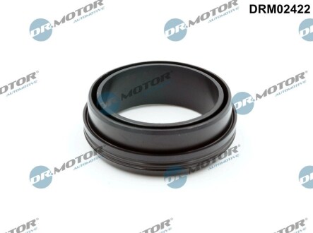 Кільце гумове DR. MOTOR DRM02422 (фото 1)
