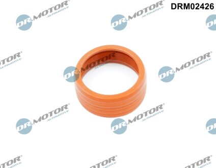 Кільце гумове DR. MOTOR DRM02426