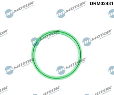 Кільце гумове DR. MOTOR DRM02431