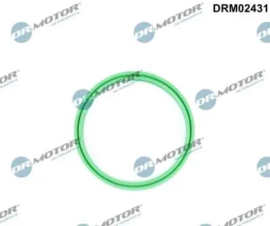 Кольцо резиновое DR. MOTOR DRM02431