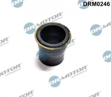 Кільце гумове DR. MOTOR DRM0246 (фото 1)