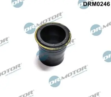 Кольцо резиновое DR. MOTOR DRM0246