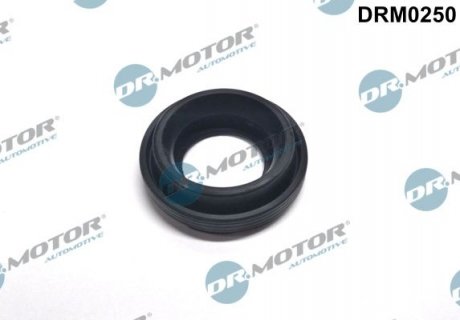 Кольцо резиновое DR. MOTOR DRM0250 (фото 1)
