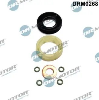 Ремкомплект форсунки DR. MOTOR DRM0268