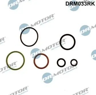 Комплект прокладок для насос форсунки DR. MOTOR DRM033RK