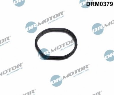 Прокладка гумова DR. MOTOR DRM0379