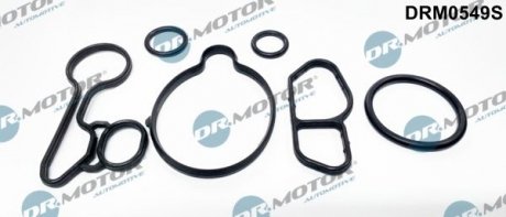 Комплект прокладок гумових DR. MOTOR DRM0549S (фото 1)