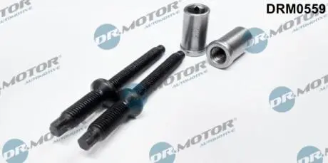 Комплект болтів двигуна з фігурною головкою DR. MOTOR DRM0559