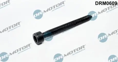 Болт насос-форсунки DR. MOTOR DRM0609
