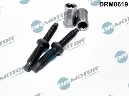 Комплект болтів двигуна з фігурною головкою DR. MOTOR DRM0619
