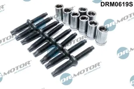 Комплект болтів двигуна з фігурною головкою DR. MOTOR DRM0619S