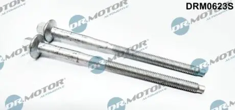 Комплект болтов ГБЦ DR. MOTOR DRM0623S
