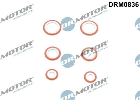Кільце гумове DR. MOTOR DRM0836 (фото 1)