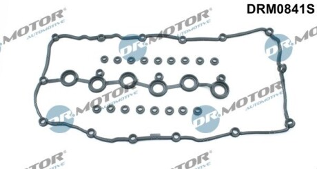 Комплект прокладок гумових DR. MOTOR DRM0841S