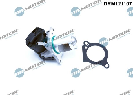 Клапан рециркуляции газов DR. MOTOR DRM121107