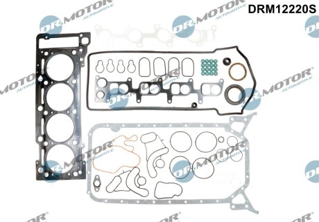 Комплект прокладок з різних матеріалів DR. MOTOR DRM12220S