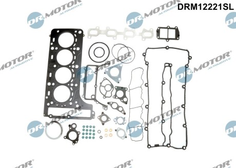 Комплект прокладок з різних матеріалів DR. MOTOR DRM12221SL