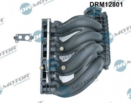Колектор впускний DR. MOTOR DRM12801 (фото 1)