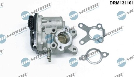 Клапан рециркуляції газів DR. MOTOR DRM131101