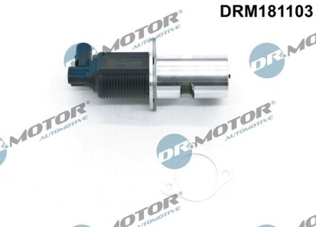 Клапан рециркуляції газів DR. MOTOR DRM181103