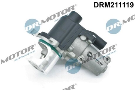 Клапан рециркуляції газів DR. MOTOR DRM211119