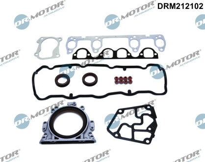 Комплект прокладок з різних матеріалів DR. MOTOR DRM212102 (фото 1)