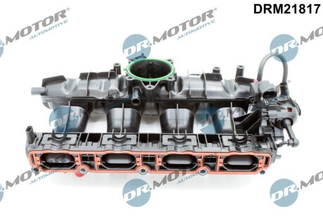 Колектор впускний DR. MOTOR DRM21817